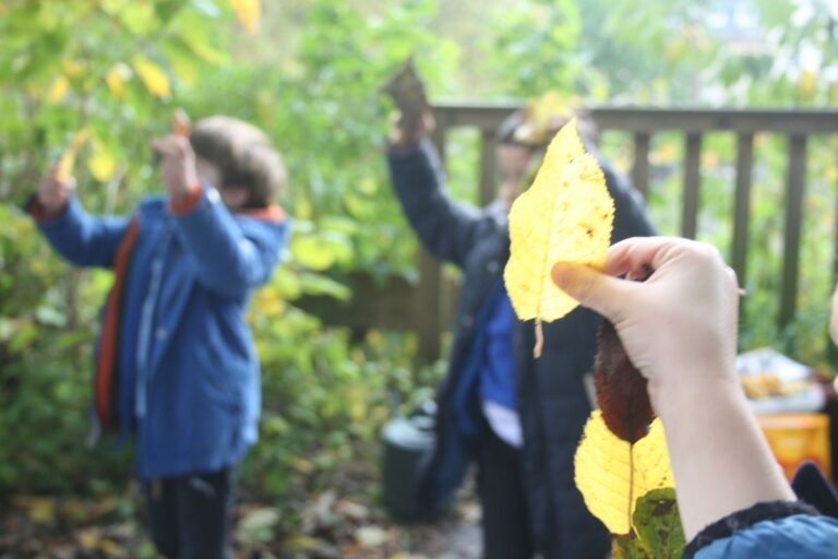 Forest School Year 1