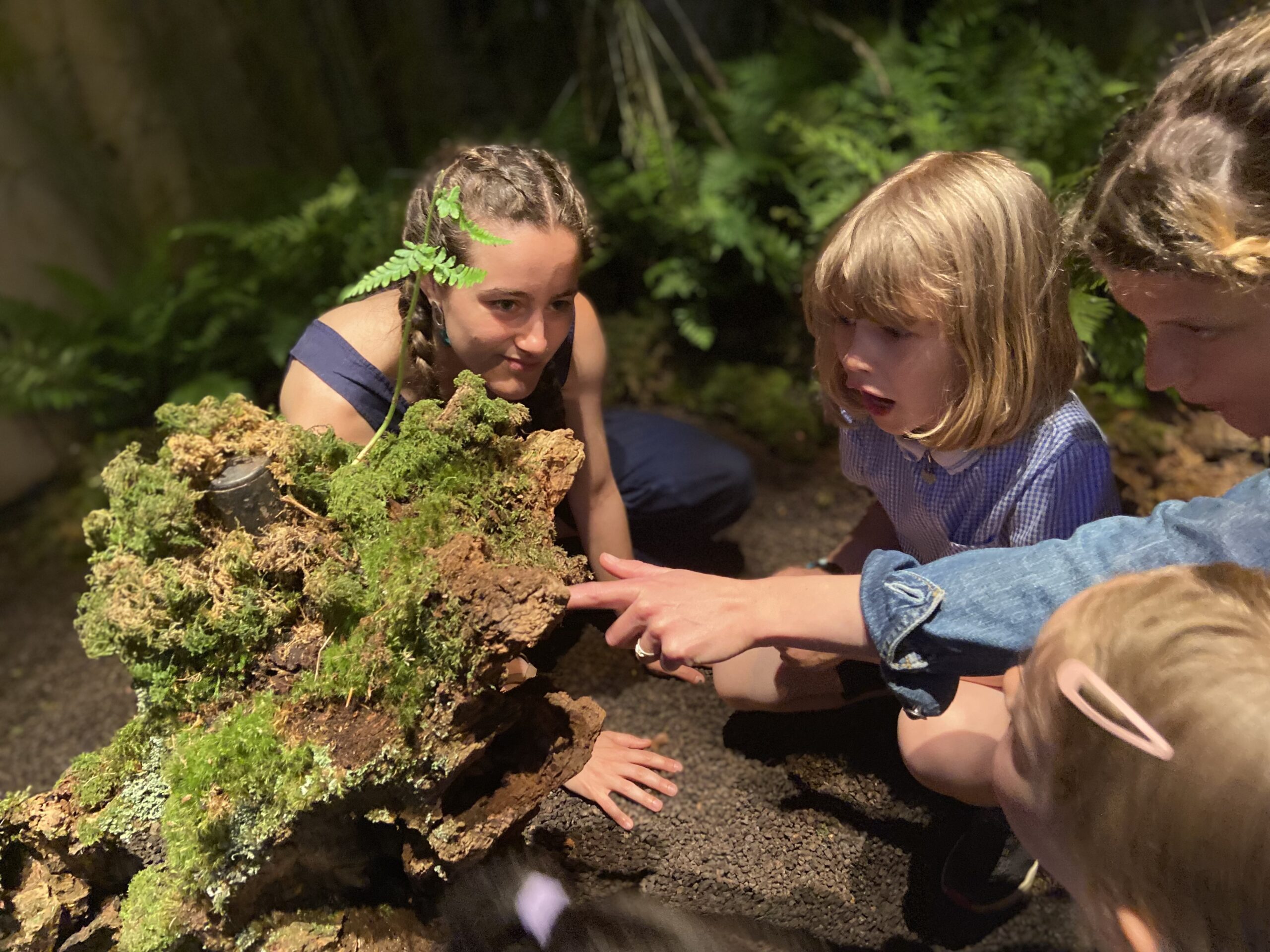 June 22 – Year 2  Visit to Forest of Imagination at the Egg Theatre
