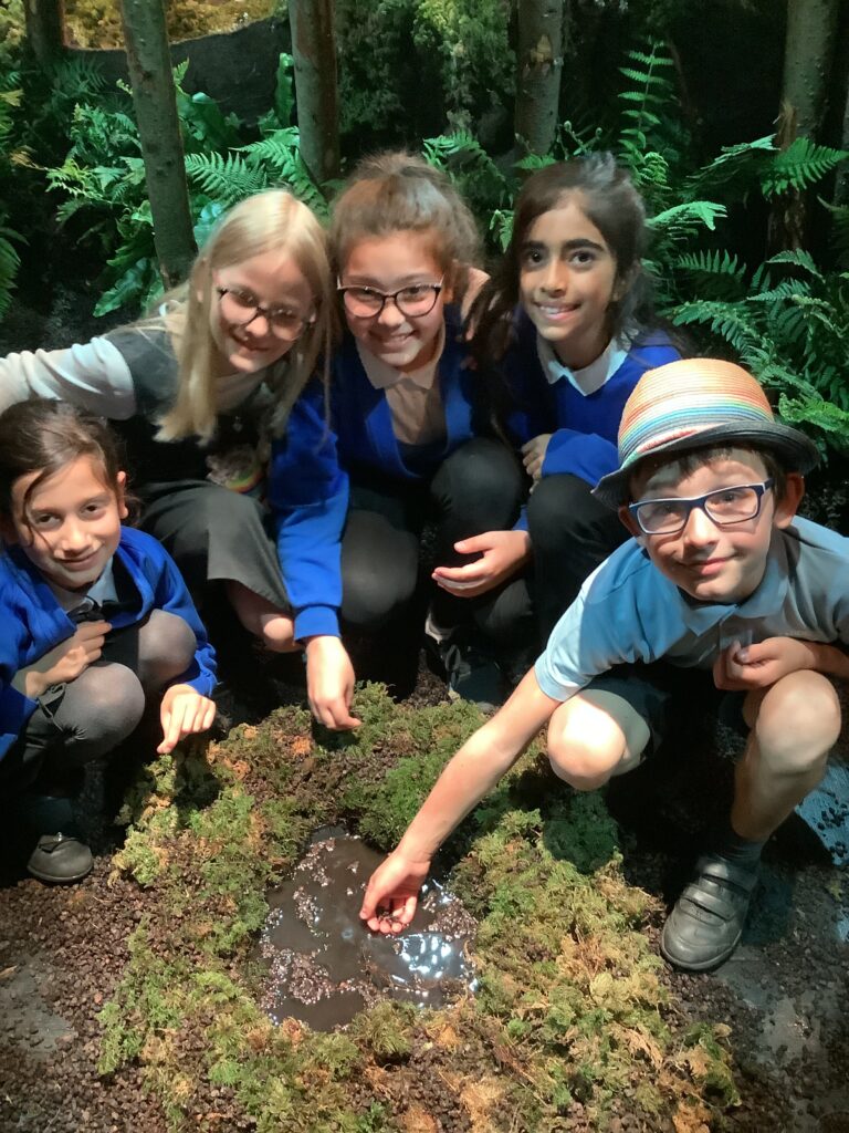 Year 4 visit Forest of Imagination at the Egg Theatre June 22