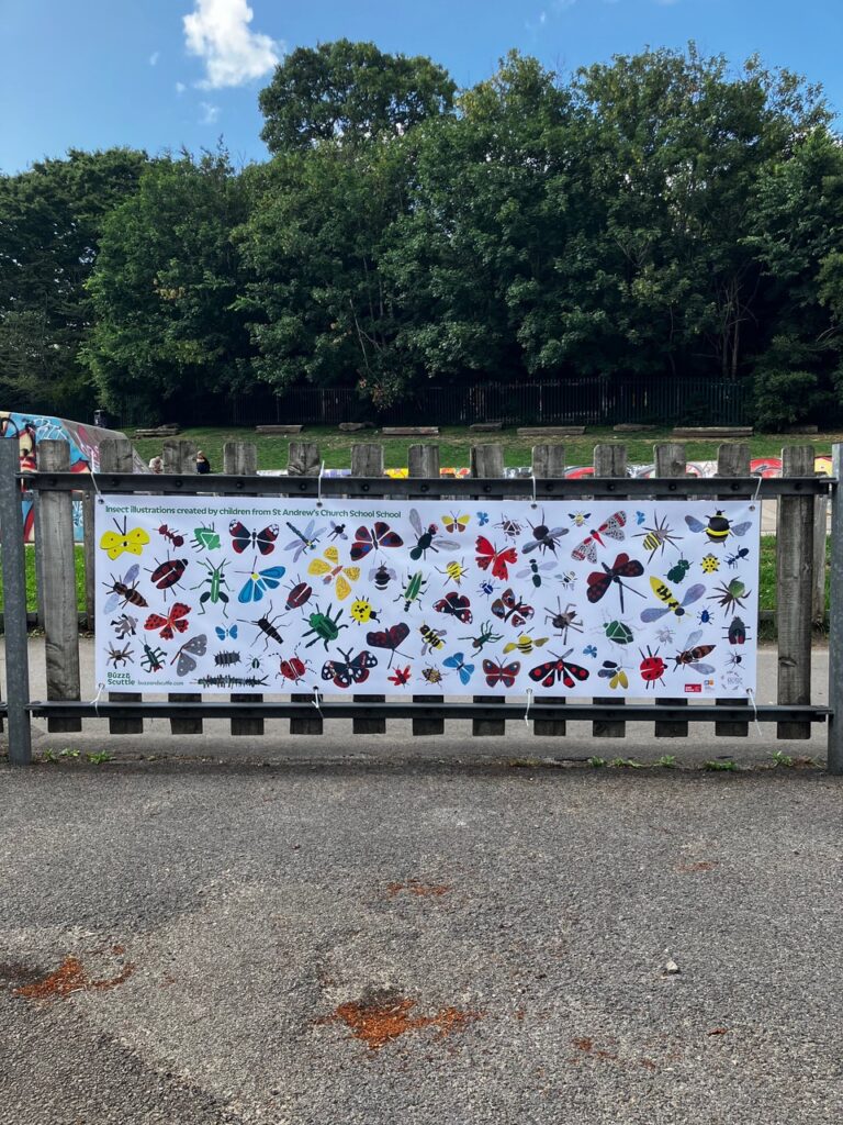 Year 4: Buzz and Scuttle Display