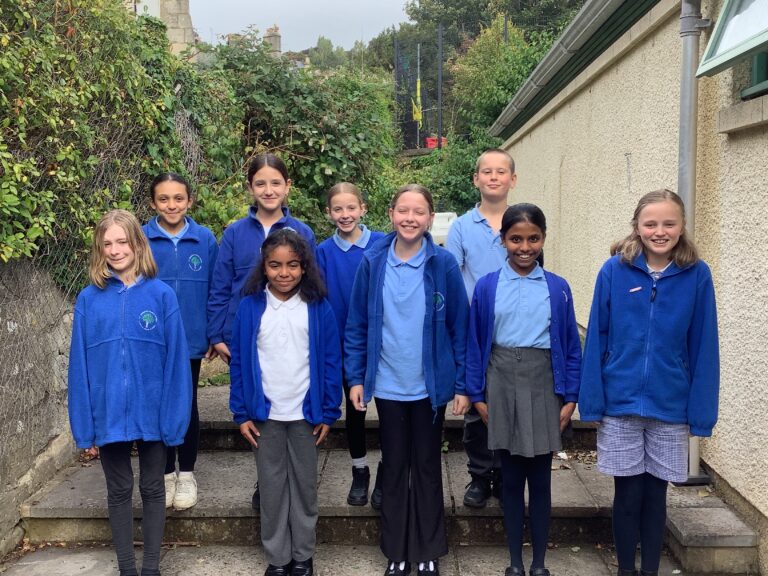 Year 6: Learning & election results