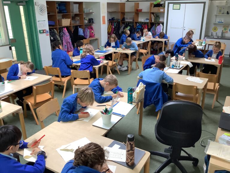 Year 5: Varjak Paw and Cezanne